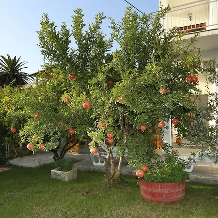 With Parking Space - 10337 شقة